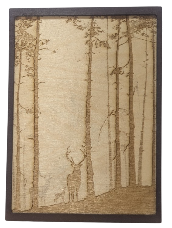 framed deer in the forest