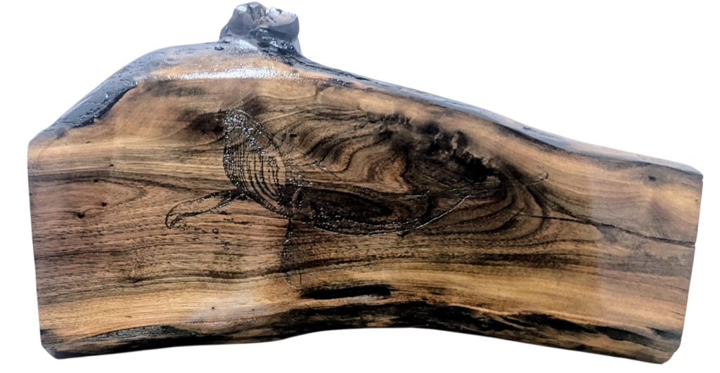 Walnut-Whale art